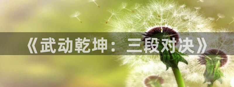 樱花动漫洗衣屋：《武动乾坤：三段对决》