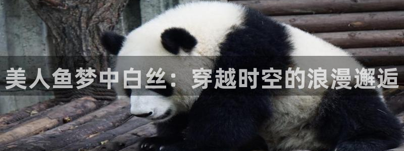 超级恋人二季集樱花动漫：美人鱼梦中白丝：穿越时空的浪漫邂逅