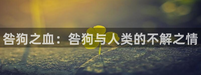 受胎岛樱花动漫：咎狗之血：咎狗与人类的不解之情